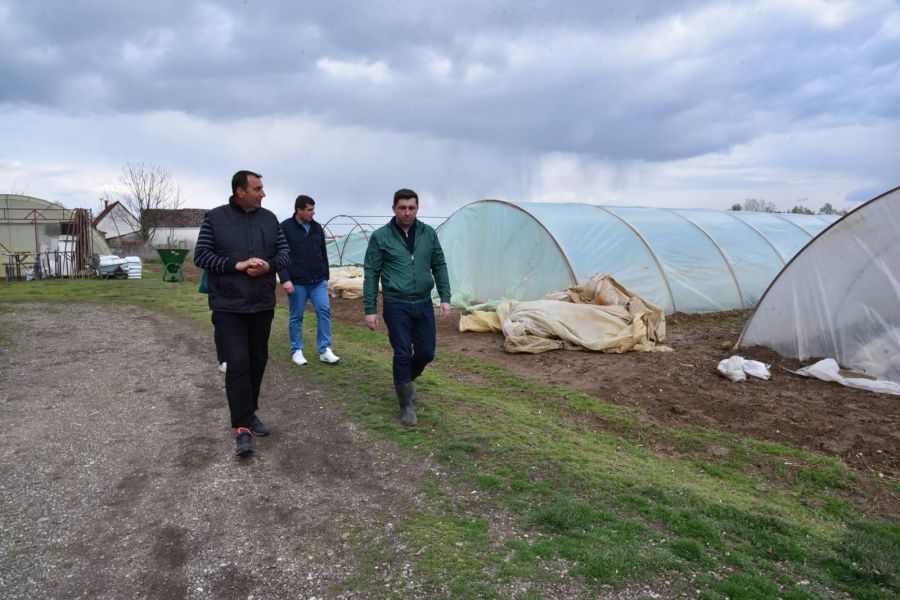 Petrović: Pomoći ćemo poljoprivrednicima koji su pretrpjeli štetu zbog nevremena